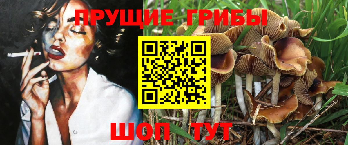 Псилоцибиновые грибы GOLDEN TEACHER Скопин