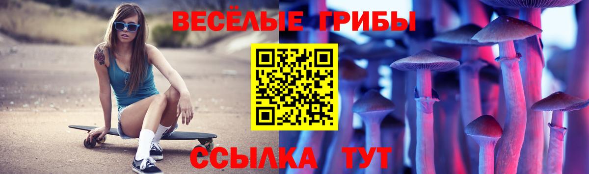 Скопин  купить наркотик  Вход с VPN  Галлюциногенные грибы MAGIC MUSHROOMS 